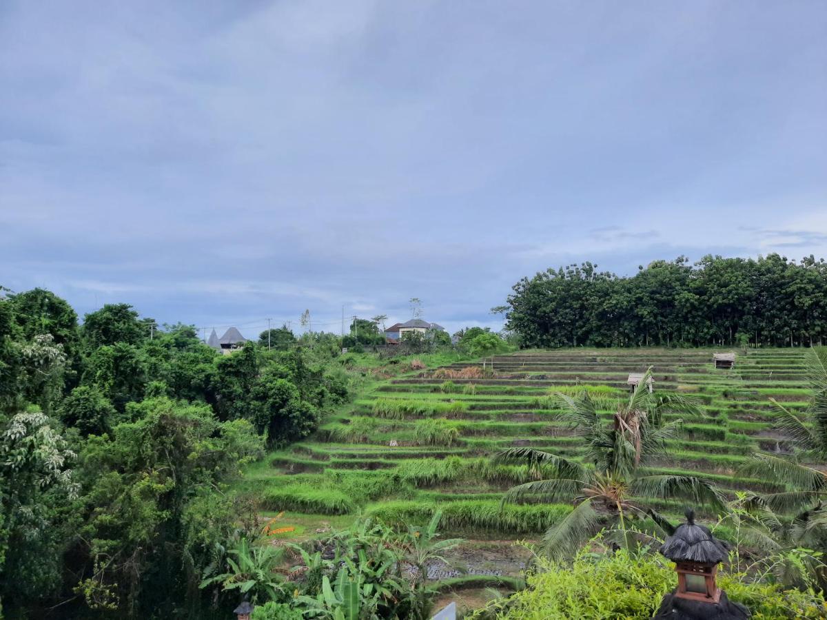 Homestay Serenity Private Mas Ubud (Bali)