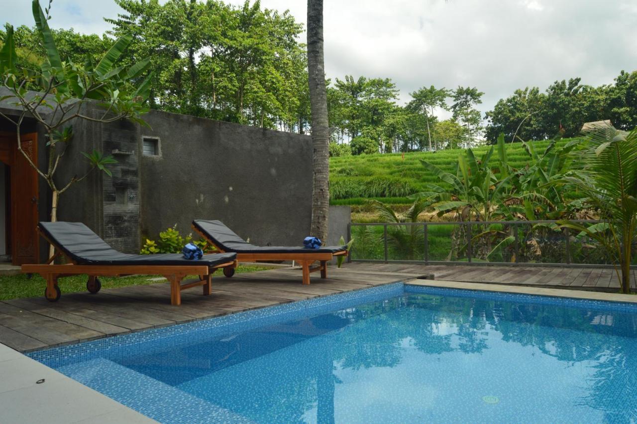 Hospedagem domiciliar Serenity Private Mas