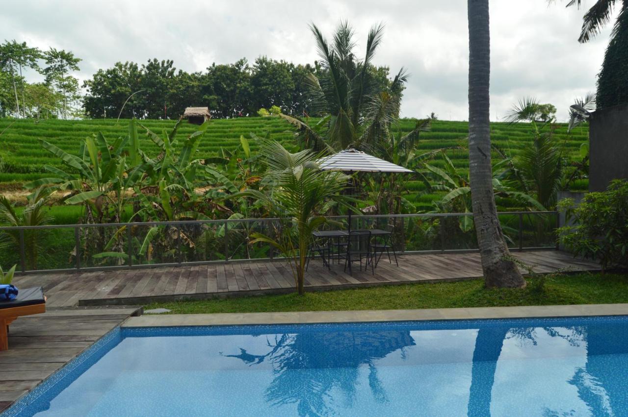 Serenity Private Mas Hospedagem domiciliar *